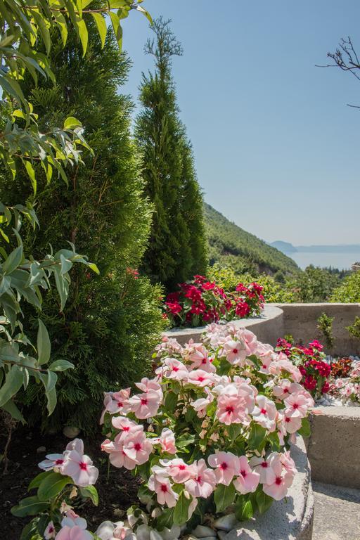 Villa Stefanoski Konjsko Exterior photo